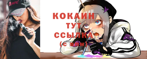 соль ск Няндома