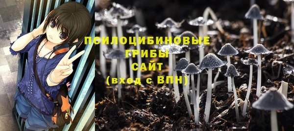 трава Нягань