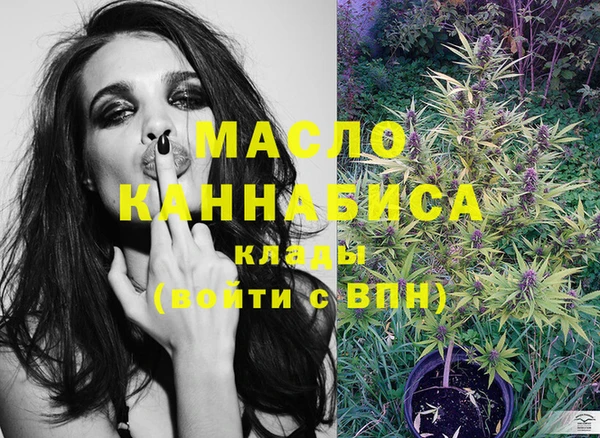 соль ск Няндома