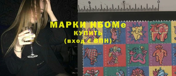 соль ск Няндома