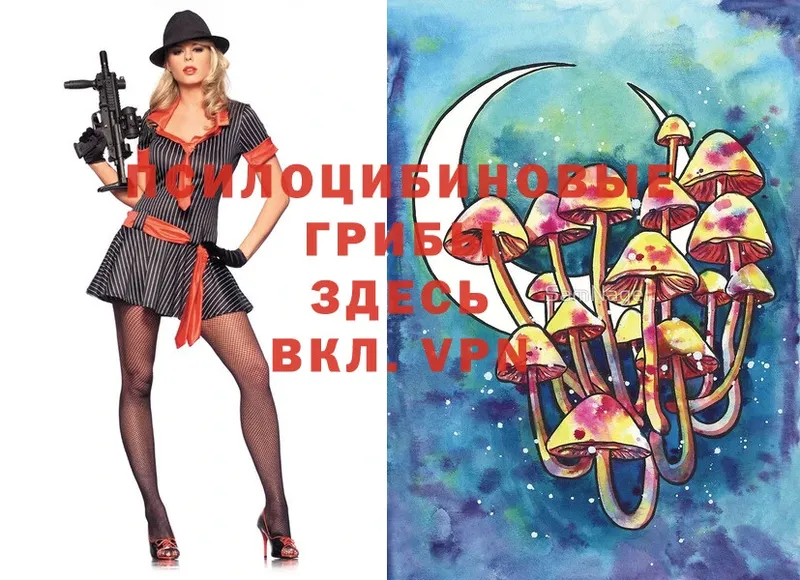 Псилоцибиновые грибы Psilocybe  ссылка на мегу вход  Коряжма 