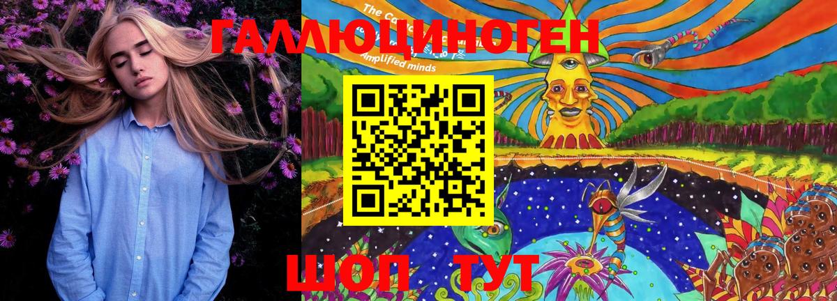 Псилоцибиновые грибы Psilocybe  продажа наркотиков  Коряжма  Вход с VPN 