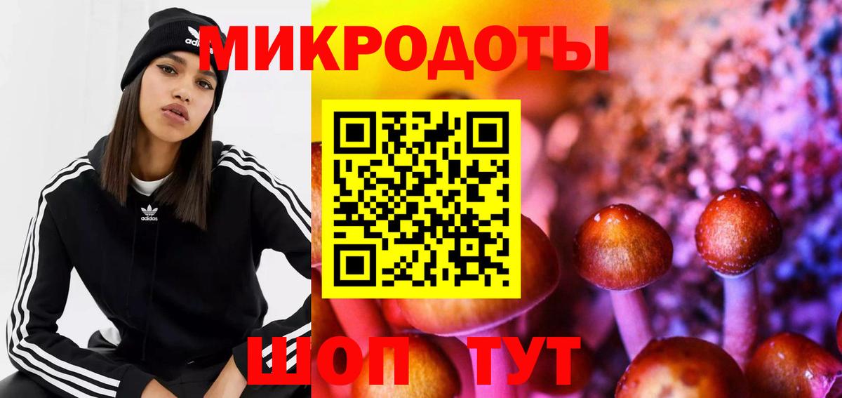 Псилоцибиновые грибы прущие грибы  Коряжма 