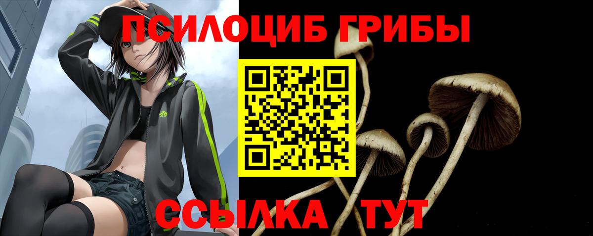 Псилоцибиновые грибы мицелий Коряжма