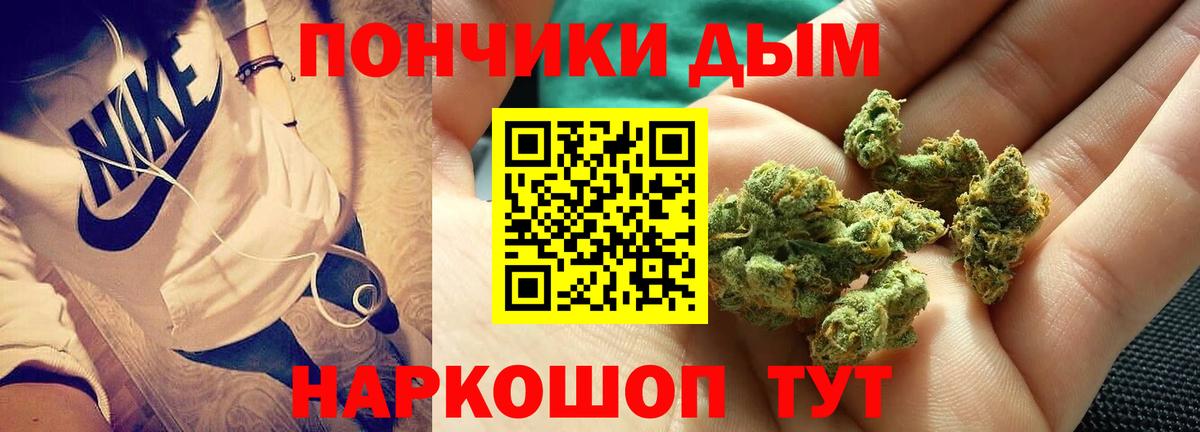Коряжма  Бошки Шишки семена  Бошки марихуана ГИДРОПОН  Бошки Шишки AK-47  Вход с VPN 